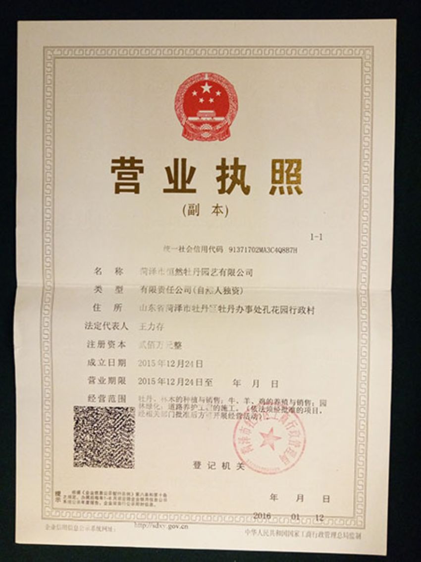 点击查看详细信息<br>标题：营业执照 阅读次数：1249