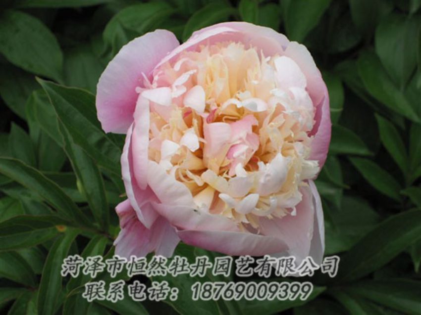 点击查看详细信息<br>标题：湖光山色 阅读次数：1228