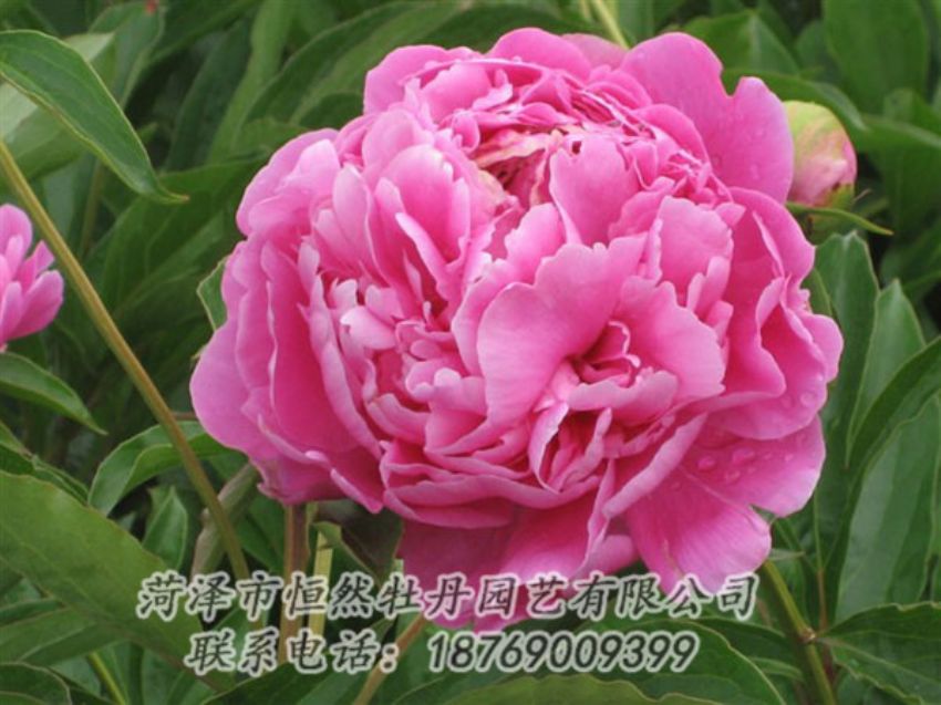 点击查看详细信息<br>标题：月照山河 阅读次数：1043